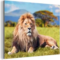 MuchoWow Wanddecoratie Metaal - Aluminium Schilderij Industrieel - Leeuw - Savanne - Afrika - 80x60 cm - Dibond - Foto op aluminium - Industriële muurdecoratie - Voor de woonkamer/slaapkamer