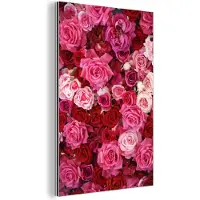 MuchoWow Wanddecoratie Metaal - Aluminium Schilderij Industrieel - Rozen - Roze - Rood - 100x150 cm - Dibond - Foto op aluminium - Industriële muurdecoratie - Voor de woonkamer/slaapkamer