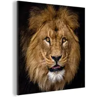 MuchoWow Wanddecoratie Metaal - Aluminium Schilderij Industrieel - Leeuw - Portret - Zwart - Dieren - 50x50 cm - Dibond - Foto op aluminium - Industriële muurdecoratie - Voor de woonkamer/slaapkamer