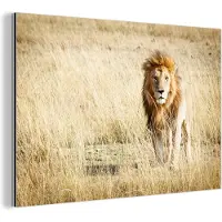 MuchoWow Wanddecoratie Metaal - Aluminium Schilderij Industrieel - Leeuwen - Afrika - Gras - 90x60 cm - Dibond - Foto op aluminium - Industriële muurdecoratie - Voor de woonkamer/slaapkamer