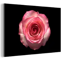 MuchoWow Wanddecoratie Metaal - Aluminium Schilderij Industrieel - Rozen - Roze - Zwart - 120x80 cm - Dibond - Foto op aluminium - Industriële muurdecoratie - Voor de woonkamer/slaapkamer