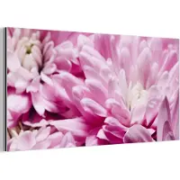 MuchoWow Wanddecoratie Metaal - Aluminium Schilderij Industrieel - Bloemen - Roze - Natuur - 160x80 cm - Dibond - Foto op aluminium - Industriële muurdecoratie - Voor de woonkamer/slaapkamer