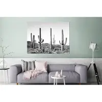 MuchoWow Wanddecoratie Metaal - Aluminium Schilderij Industrieel - Cactussen - Zwart wit - Natuur - Landschap - 120x90 cm - Dibond - Foto op aluminium - Industriële muurdecoratie - Voor de woonkamer/slaapkamer