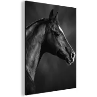 MuchoWow Wanddecoratie Metaal - Aluminium Schilderij Industrieel - Paard - Dieren - Zwart - Wit - Portret - 90x120 cm - Dibond - Foto op aluminium - Industriële muurdecoratie - Voor de woonkamer/slaapkamer