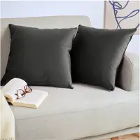 Blumtal Set van 2 Kussenslopen - Velvet - 40 x 40 cm - Antraciet - Verborgen Ritssluiting - Kussenhoes voor sierkussens