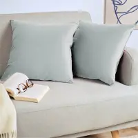 Blumtal Set van 2 Kussenslopen - Velvet - 40 x 60 cm - Dove Grey - Verborgen Ritssluiting - Kussenhoes voor sierkussens