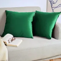 Blumtal Set van 2 Kussenslopen - Velvet - 60 x 60 cm - Botanisch Groen - Verborgen Ritssluiting - Kussenhoes voor sierkussens
