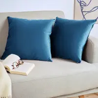 Blumtal Set van 2 Kussenslopen - Velvet - 40 x 60 cm - Donkerblauw - Verborgen Ritssluiting - Kussenhoes voor sierkussens