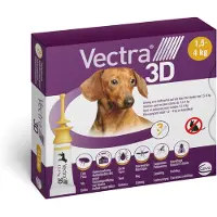 VECTRA 3D Dog