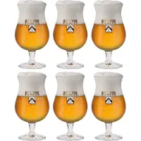 Alfa Bierglas Sommelier - 250 ml - 6 stuks
