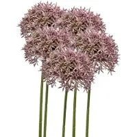 Emerald Allium/Sierui kunstbloem - 5x - losse steel - lila - 62 cm - Natuurlijke uitstraling