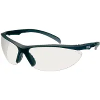 MSA The Safety Company MSA Perspecta 1320 Heldere Lens veiligheidsbril