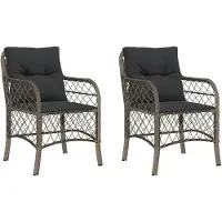 vidaXL Tuinstoelen 2 st met kussens poly rattan grijs