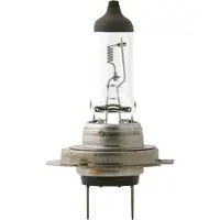 Philips Halogeen koplamp Master Duty, 24V, H7