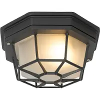 QAZQA Landelijke plafondlamp donkergrijs IP44 - Bri S