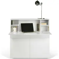 Temahome - Bureau/opbergkast Fox 110cm - wit