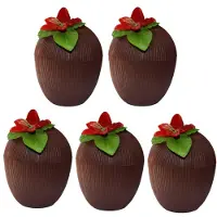 Funny fashion 5x Hawaii bekers kokosnoot 250 ml - Feestbekertjes