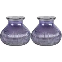 Decostar Bloemenvaas - 2x stuks - paars glas - H12 x D15 cm - Vazen
