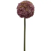 Emerald Allium/Sierui kunstbloem - losse steel - paars - 75 cm - Natuurlijke uitstraling - Kunstbloemen