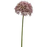 Emerald Allium/Sierui kunstbloem - losse steel - lila - 62 cm - Natuurlijke uitstraling - Kunstbloemen