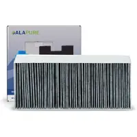 Alapure CleanAir Active-Koolfilter voor Gaggenau 11018621 / AA210110 / 11010506