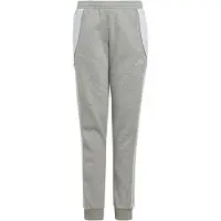 Adidas Sportbroek 'Tiro 24' grijs gemêleerd / wit