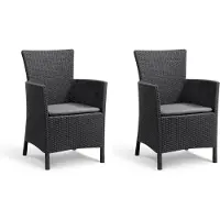 Keter Allibert Iowa Tuinstoel - 2 stuks - 62x60x89cm - Grafiet