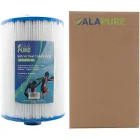 Alapure Waterfilter voor Pleatco PMAX50P4