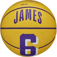 Wilson Basketbal