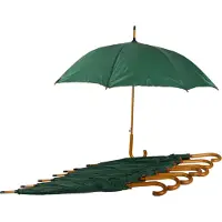 Discountershop Paraplu 8 stuks - Set van 8 Automatische Groene Paraplu's voor Volwassenen | Ideaal voor Kamperen & Outdoor Avonturen!| 102cm Diameter