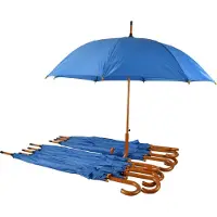 Discountershop Paraplu 10 stuks - Set van 10 Automatische 102cm Diameter | Windproof Paraplu's voor Volwassenen | Met Houten Handvat | Sky Blauw - Unisex