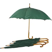 Discountershop Paraplu 5 stuks - Set van 5 Groene Automatische Opvouwbare Paraplu's | Diameter 102 cm | Windbestendig en Waterdicht