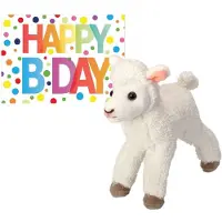 Nature Planet Pluche knuffel lammetje/schaap 20 cm met A5-size Happy Birthday wenskaart - Knuffel boederijdieren