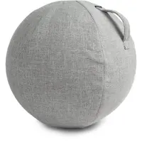 VirtuFit Fitnessbal Beschermhoes - 65 cm