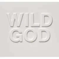 Cd Nick Cave & The Bad Seeds - Wild God