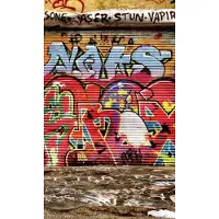 Dimex Fotobehang - Graffiti Street 150x250cm - Vliesbehang
