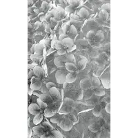 Dimex Fotobehang - Apple Tree Abstract III 150x250cm - Vliesbehang