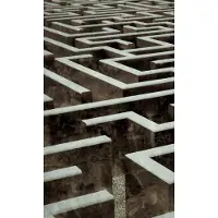 Dimex Fotobehang - Labyrinth 150x250cm - Vliesbehang