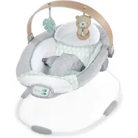 Bright Starts - Cozy Spot Bouncer with Wood Toy Bar - (IN-13104)