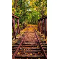 Blokker Dimex Railroad Vlies Fotobehang 150x250cm 2-banen