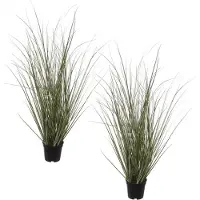 Louis Maes Pennisetum siergras kunstplant - Set van 2x stuks - zwarte pot - 50 cm - realistisch - binnenshuis