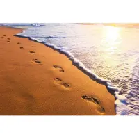 Dimex Fotobehang - Footsteps 375x250cm - Vliesbehang