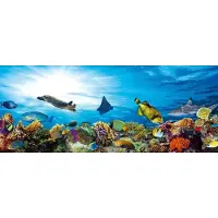 Dimex Fotobehang - Fish 375x150cm - Vliesbehang