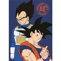 Dragon Ball Z Fleeceplaid, Ninja - 100 x 140 cm - Polyester