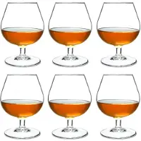 Arcoroc Brandy/Cognac Glazen 25cl | 6 stuks