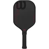Wilson Blaze Tour Pickleball Paddle Zwart 2