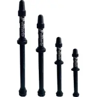Vittoria Tubeless Kleppen 2 Eenheden