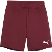 Puma Teamgoal Shorts Rood 9-10 Years Jongen