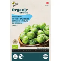 Buzzy Organic Spruitkool Doric F1 (BIO)