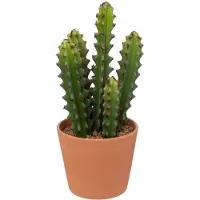 Atmosphera Kunstplant Alicante - Cactus met pot - Ø12xH30cm - Groen